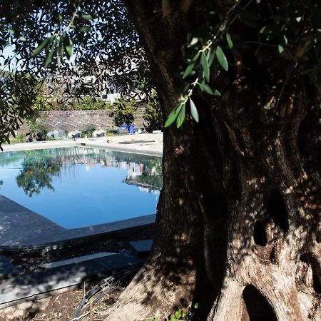 ホテル Sorrentobay サンタニェッロ エクステリア 写真